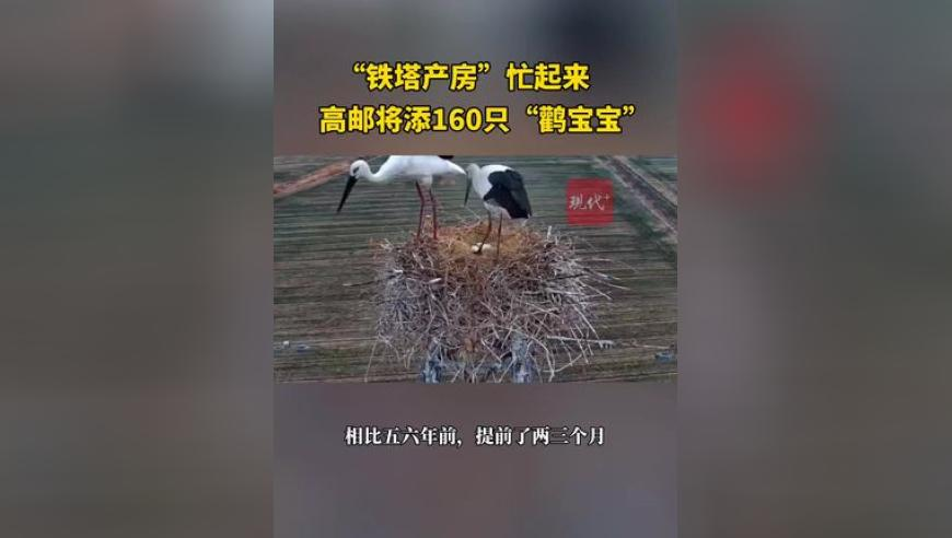 杨紫《家业》撑伞路透 像画一样,香港6合彩开奖结果,权威独家讨论与热门话题_尊享版V10.22