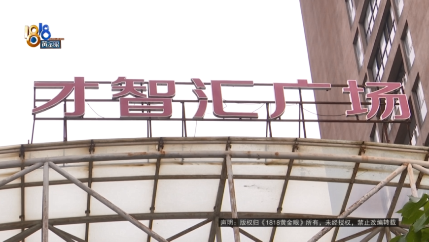 2025澳门管家婆网站,83岁母亲每天为56岁儿子下厨,收益成语分析落实_AR版V14.72