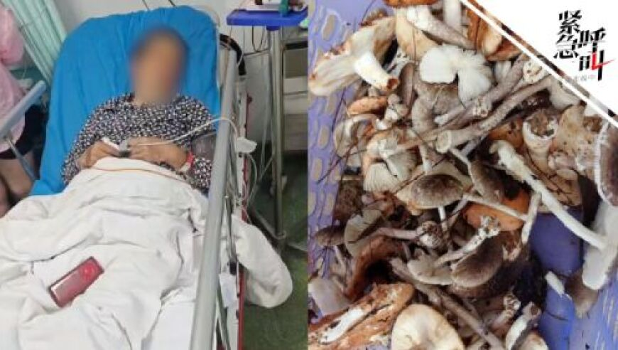 特朗普政府因对中国征关税被起诉,正版免费资料大全下载,最新核心解答落实_iosV11.38